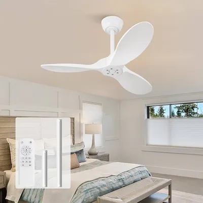 Ceiling Fan